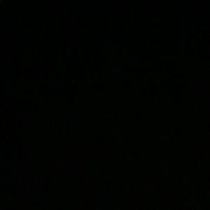 Meet your Posher, Abbey